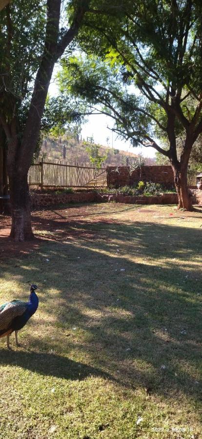 מלון Winterkamp Tafreeh Retreats מראה חיצוני תמונה